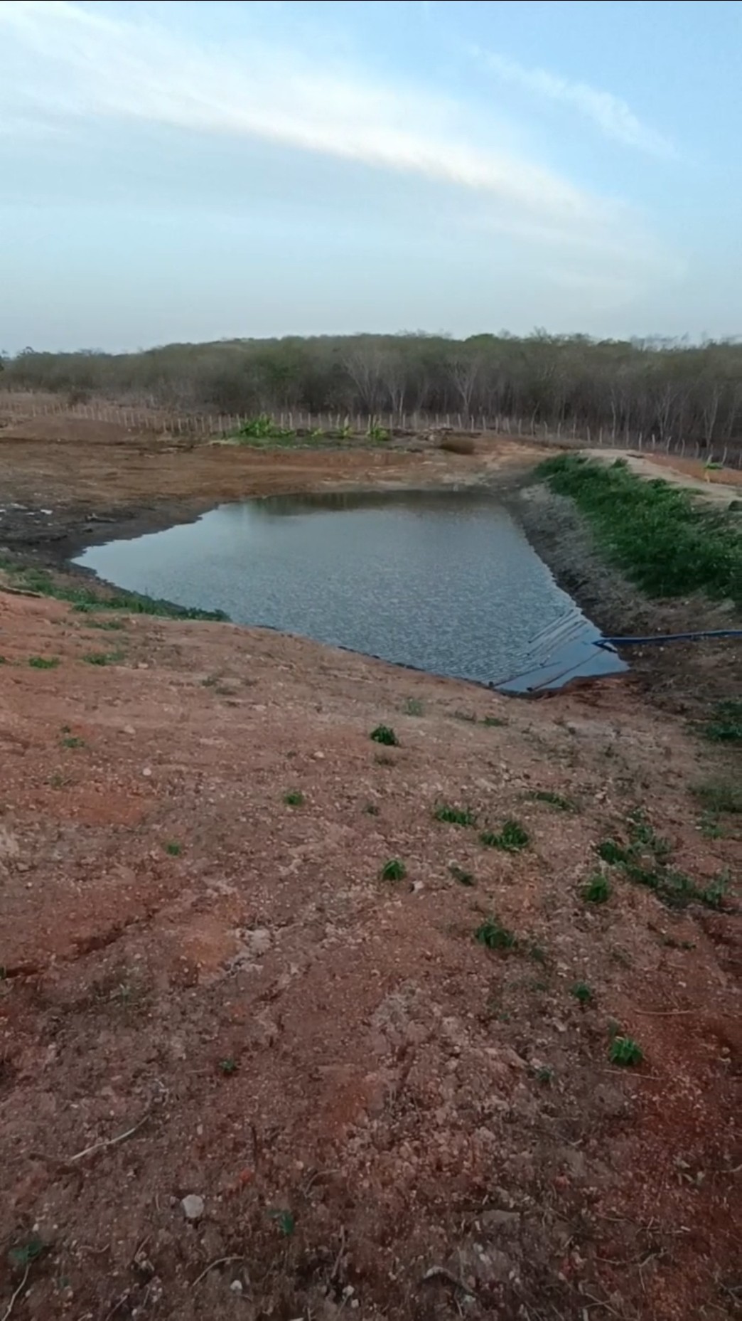 Nosso Açude no Sítio Vejam só #vivernaroca #nordeste #countrylife #caipira